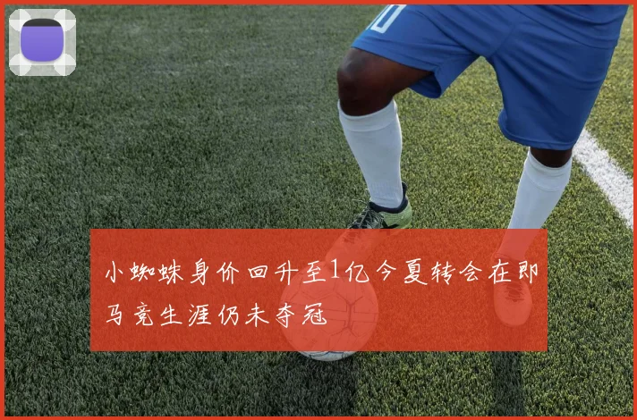小蜘蛛身价回升至1亿今夏转会在即马竞生涯仍未夺冠